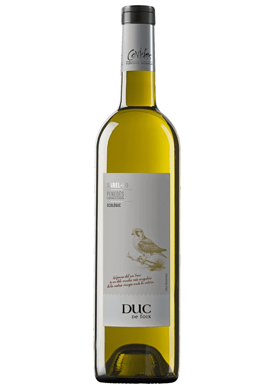 212-duc-de-foix-xarel-lo-do-penedes-image-0