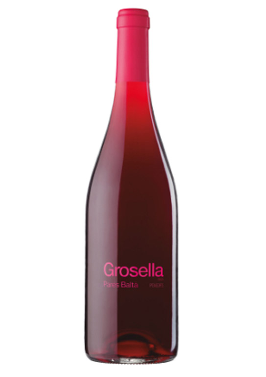 767-grosella-pares-balta-do-penedes-image-0